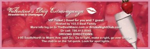 Valentines day extraviganza ticket