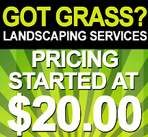 A sample of a landscaping flyer design